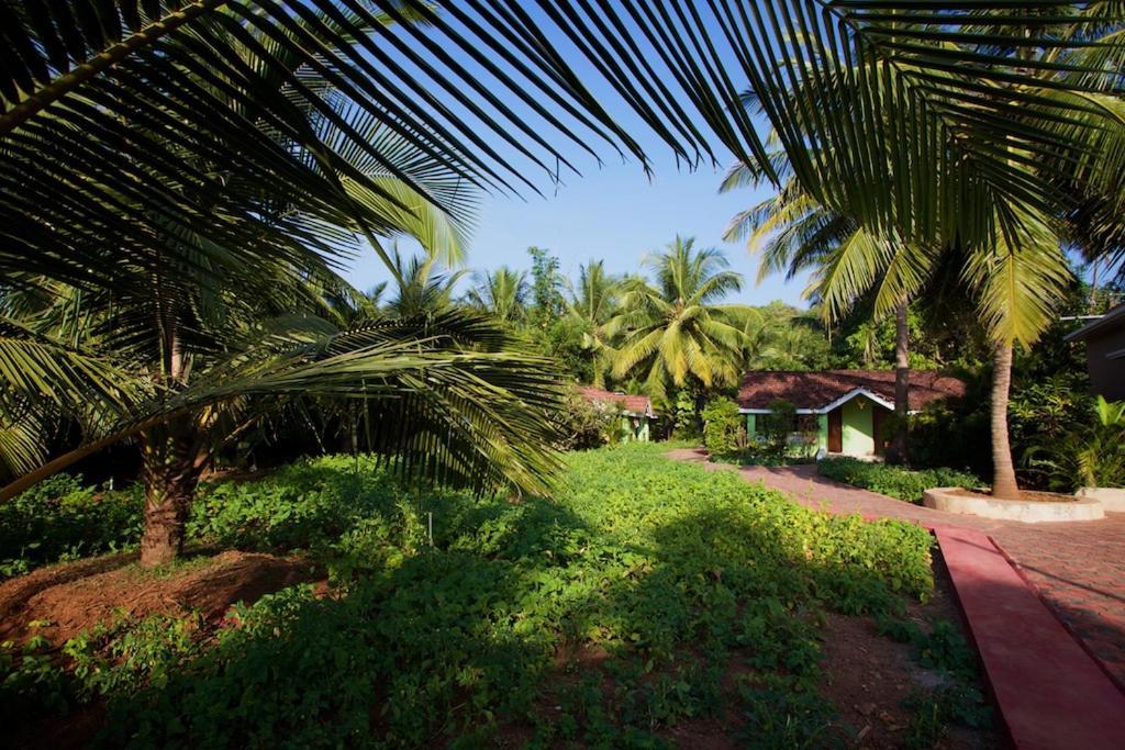 Dunhill Beach Resort Agonda Exterior foto